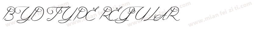 BYD TYPE REGULAR字体转换